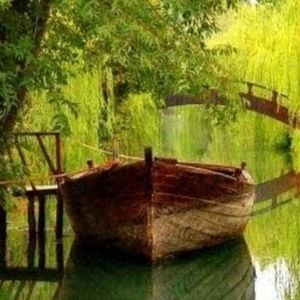 Meet your Posher, Julie